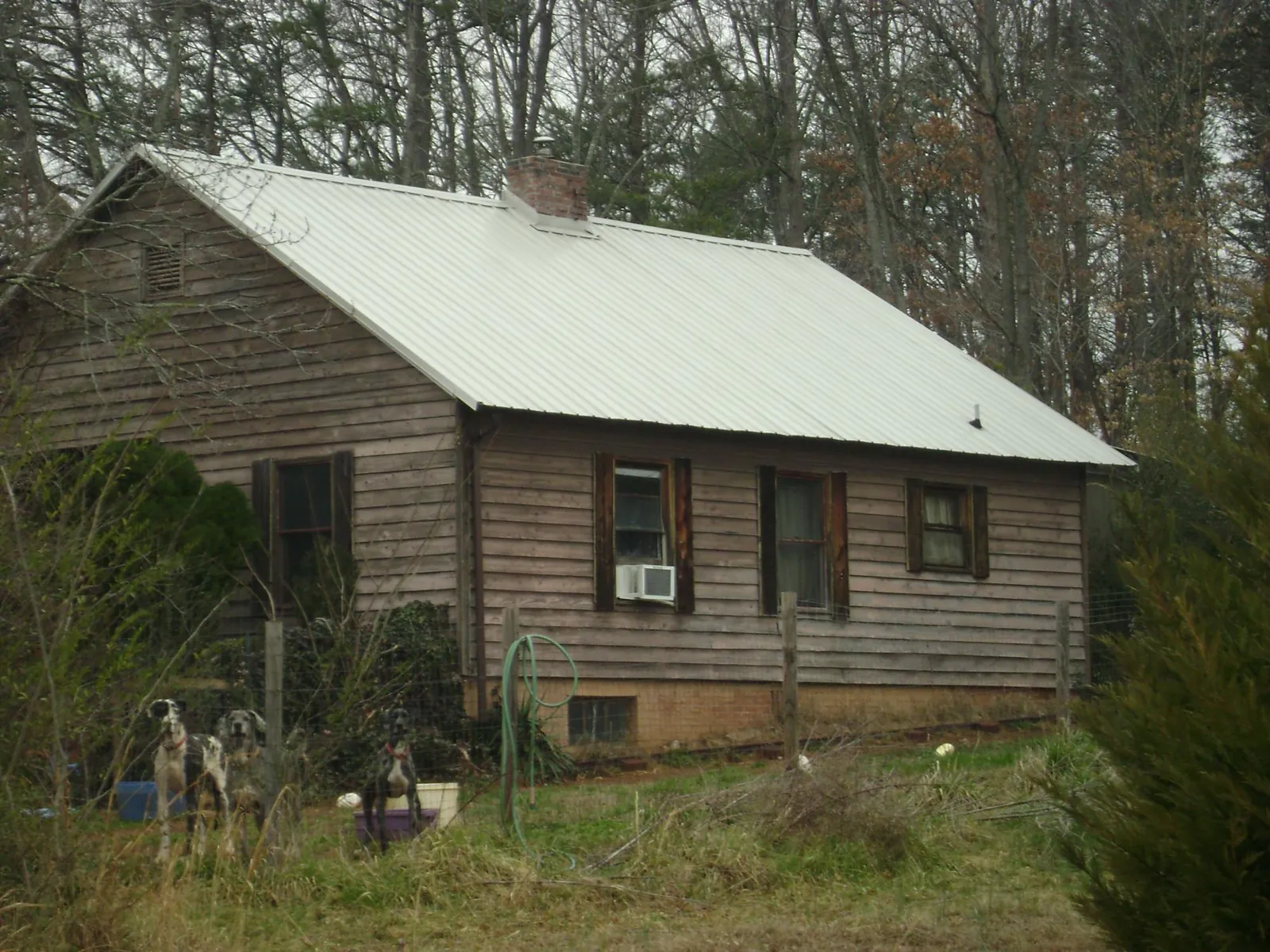 White metal roof on an old wood sided farmhouse, from a Asphalt Shingle Roof Repair job in Nye